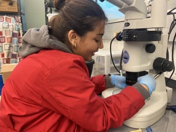 Sofia, wearing a red coat and blue latex gloves, works with a large microscope in a lab.