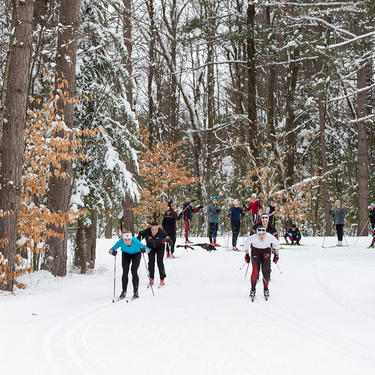 Nordic Skiing - St. Lawrence University Athletics