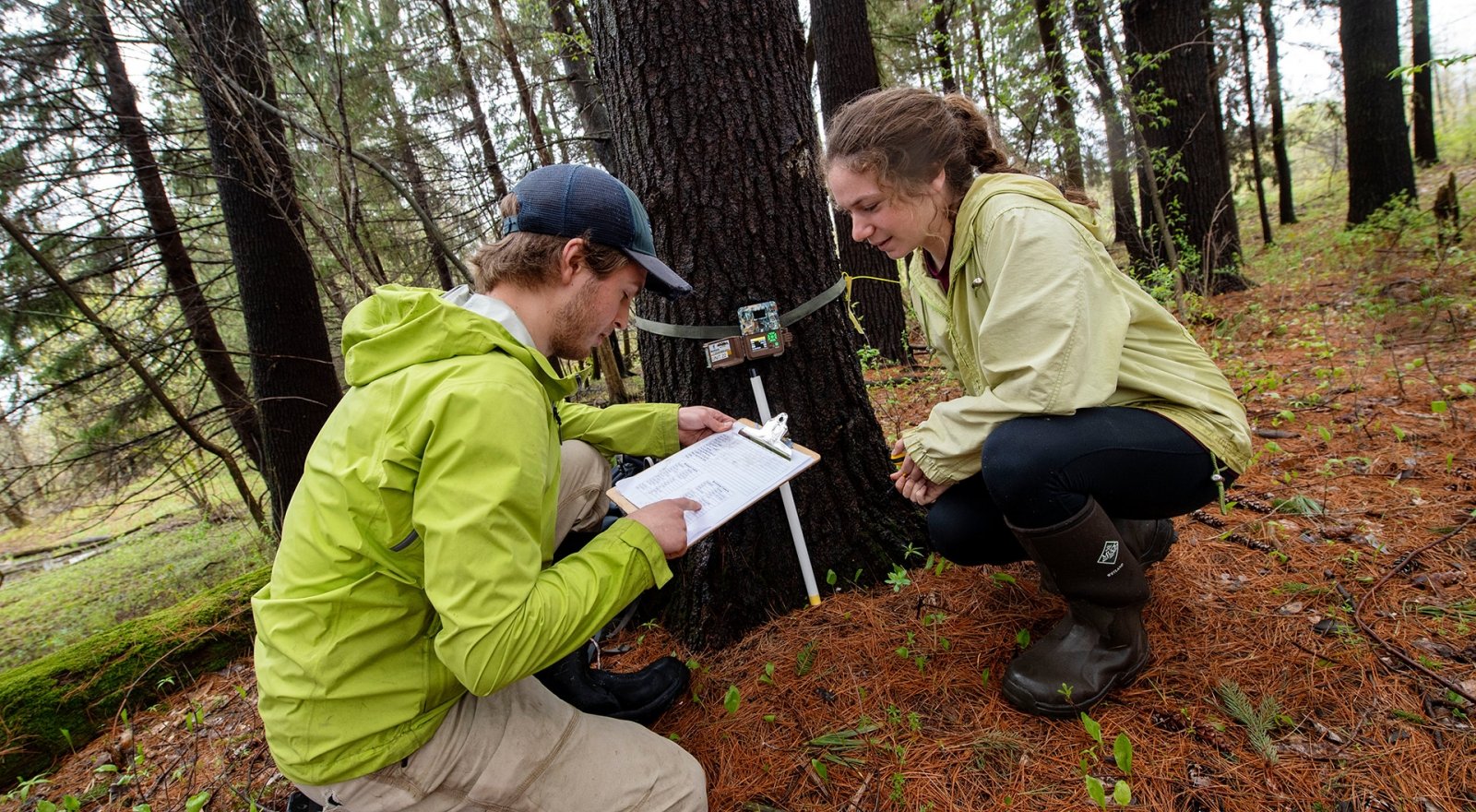 Conservation Biology | St. Lawrence University