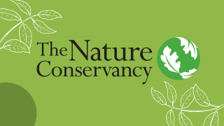 the nature conservancy new york