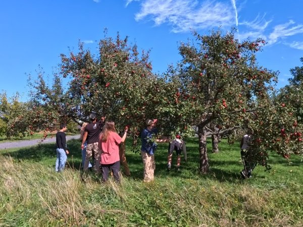 Arcadians pick apples from North Country Creamery on a farm tour.