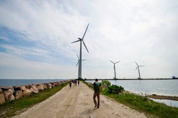 People walking near wind turbines